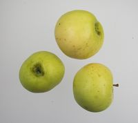 Bulmers Normann cider-æble
